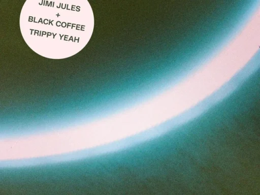 Jimi Jules x Black Coffee – Trippy Yeah