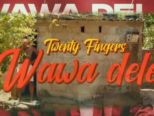 Twenty fingers wawa dele 747x420